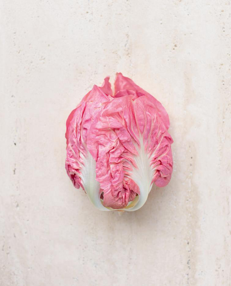 Radicchio