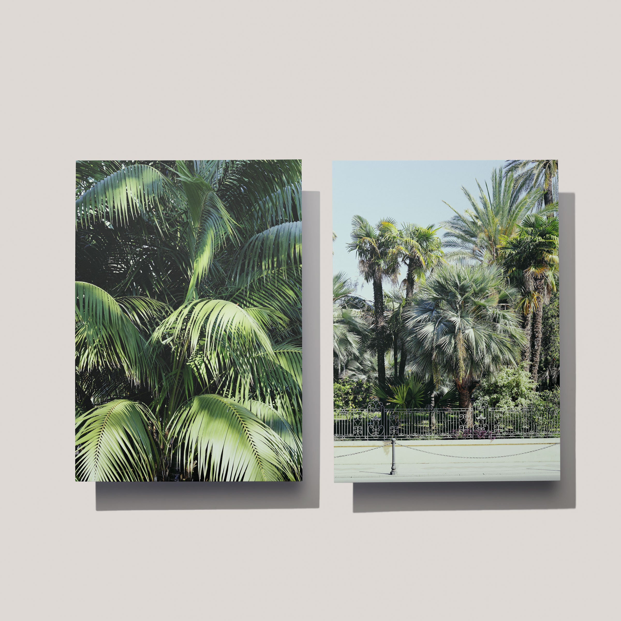 Postkartenset Palme