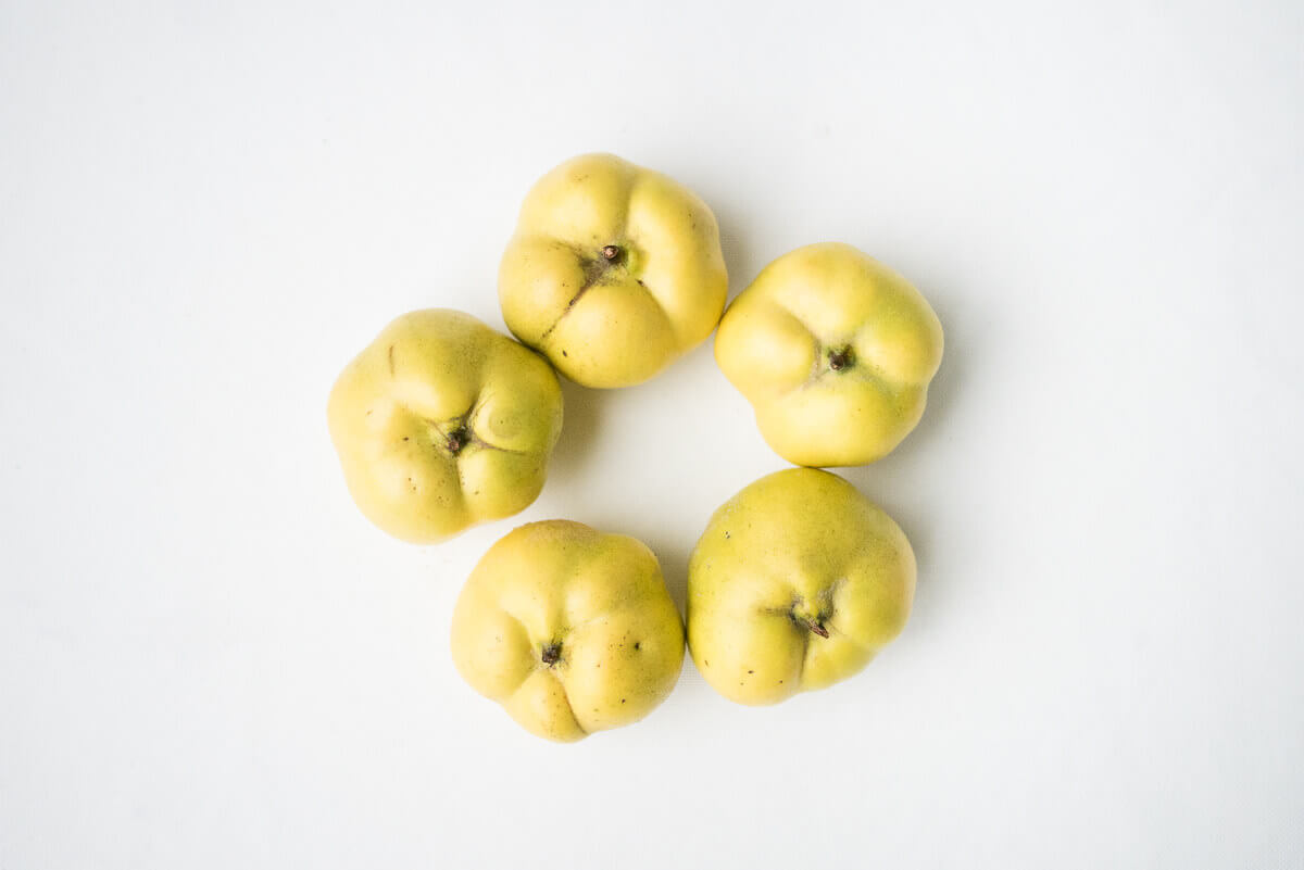 Cotognata Splendido Magazin